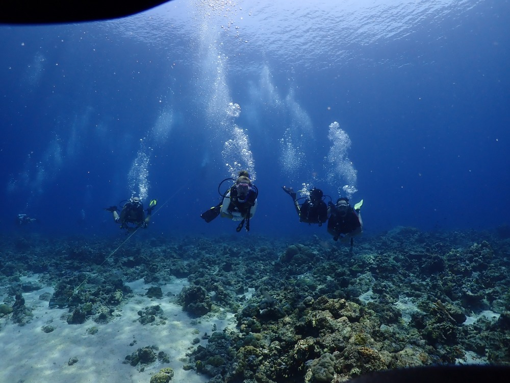 Best 4 Scuba Diving Sport Adventures places in India